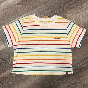 Dickies Juniors rainbow crop top
